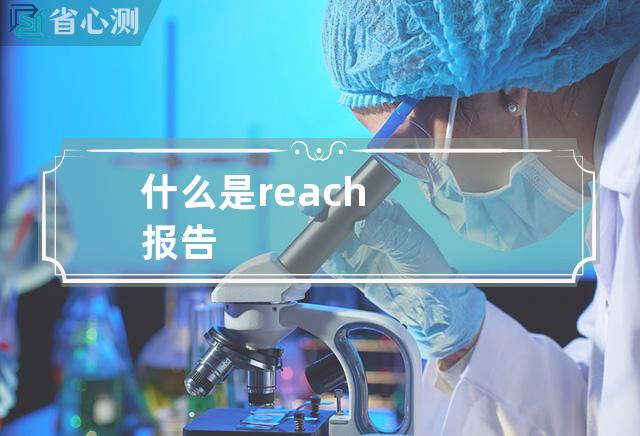 什么是reach报告