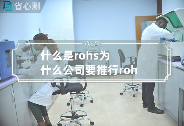 什么是rohs 为什么公司要推行rohs