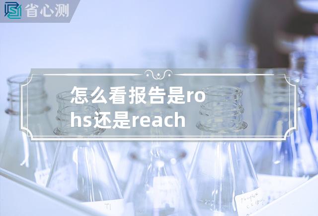 怎么看报告是rohs还是reach