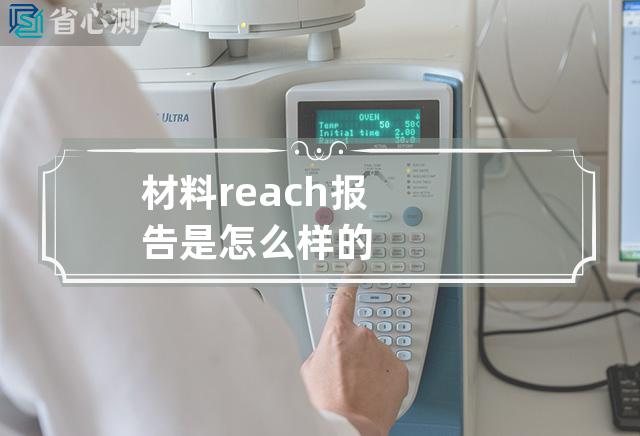 材料reach报告是怎么样的