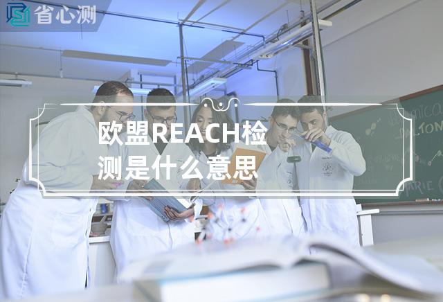 欧盟REACH检测是什么意思