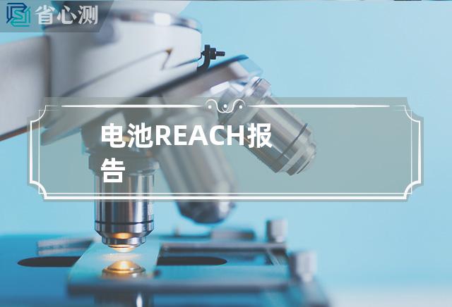 电池REACH报告