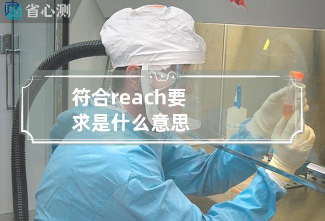 符合reach要求是什么意思