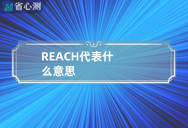 REACH代表什么意思