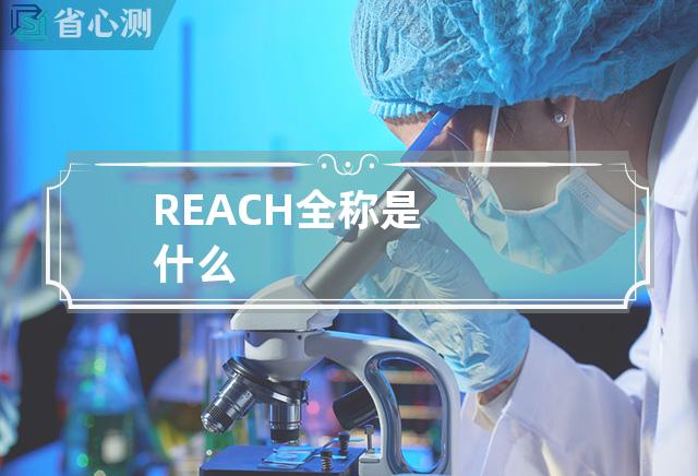 REACH全称是什么