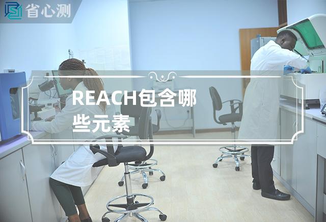 REACH包含哪些元素