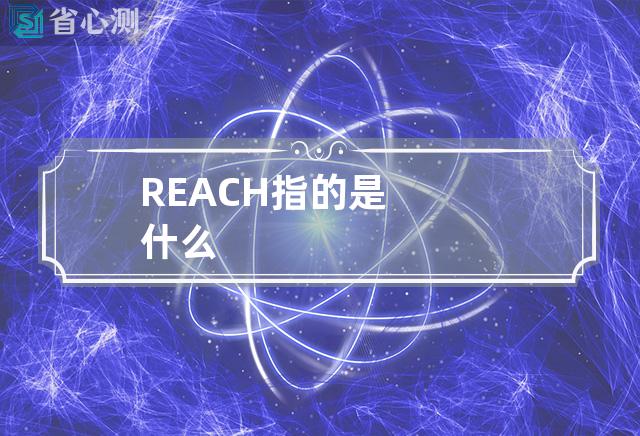 REACH指的是什么