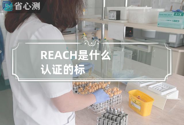 REACH是什么认证的标