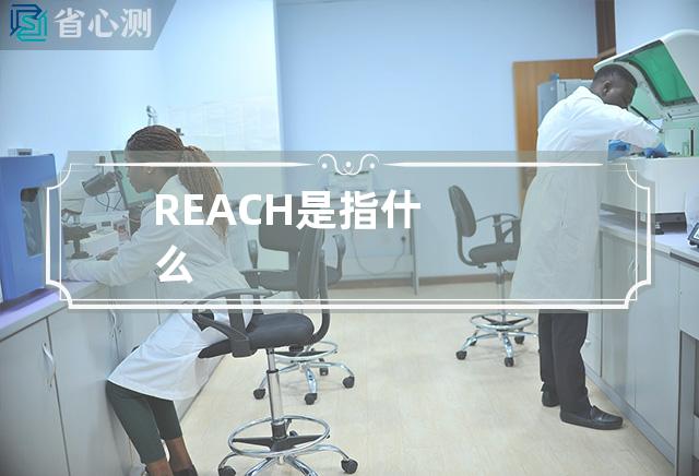 REACH是指什么