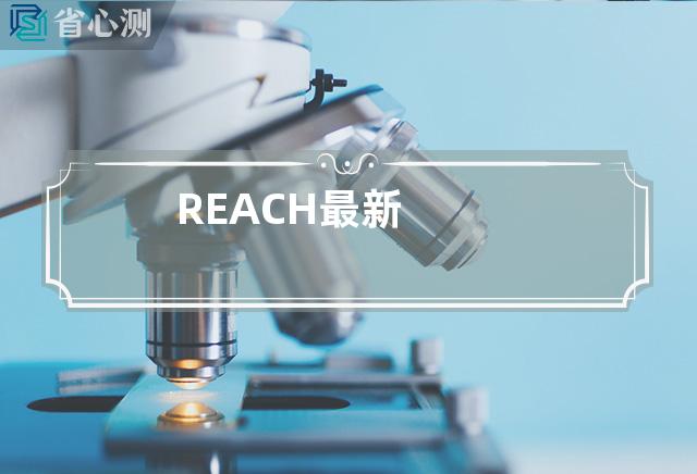 REACH最新