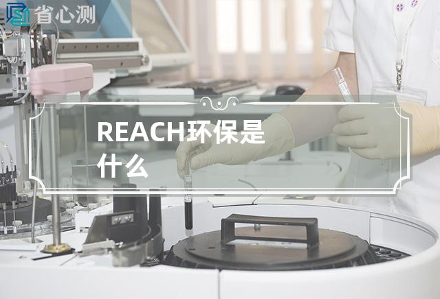 REACH环保是什么