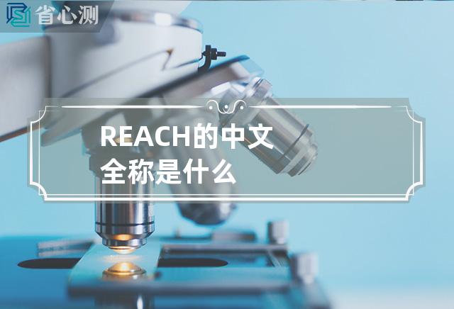 REACH的中文全称是什么