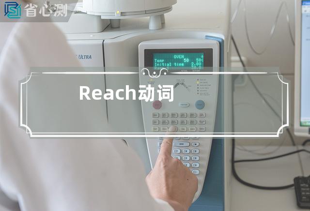 Reach动词