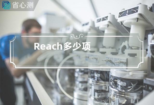 Reach多少项