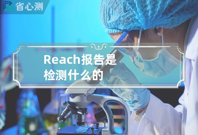 Reach报告是检测什么的