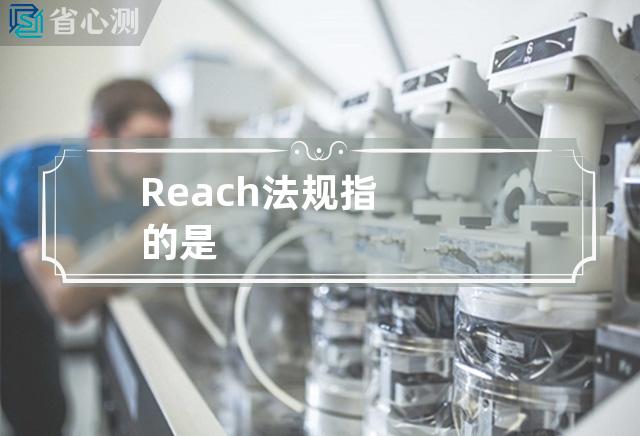 Reach法规指的是