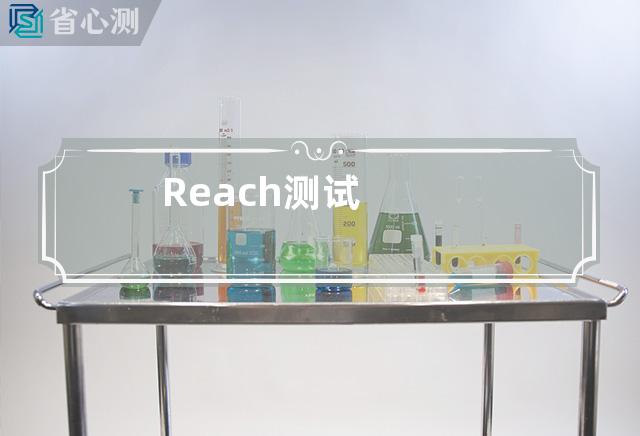 Reach测试