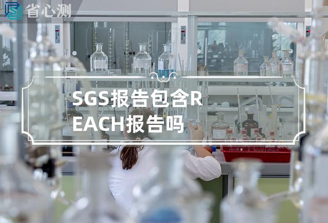 SGS报告包含REACH报告吗