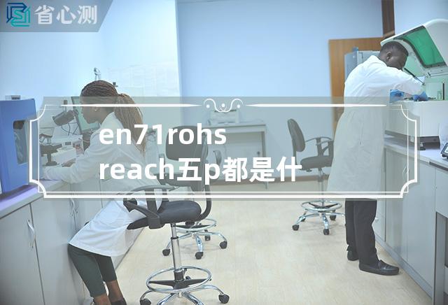 en71 rohs reach 五p都是什么