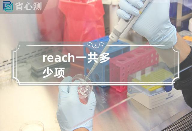 reach一共多少项