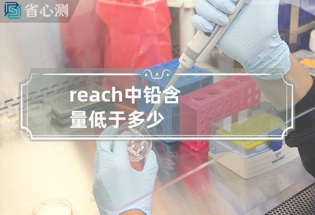 reach中铅含量低于多少