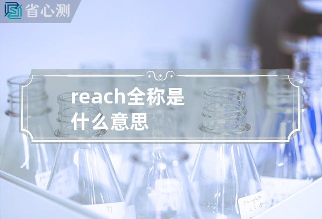 reach全称是什么意思