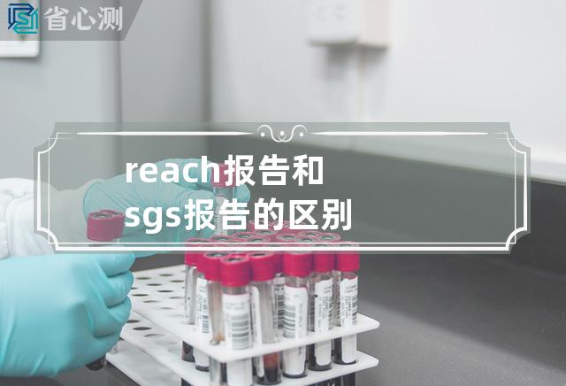 reach报告和sgs报告的区别