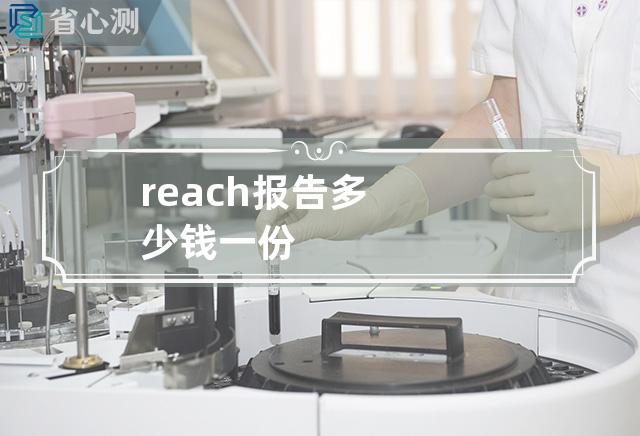 reach报告多少钱一份