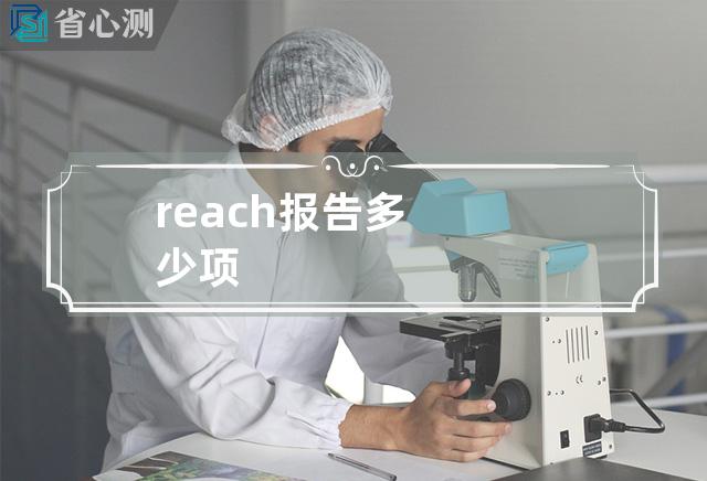 reach报告多少项