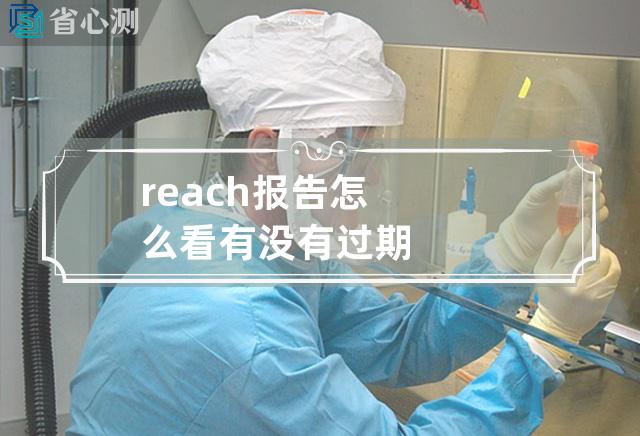 reach报告怎么看有没有过期