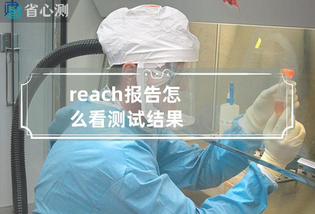 reach报告怎么看测试结果