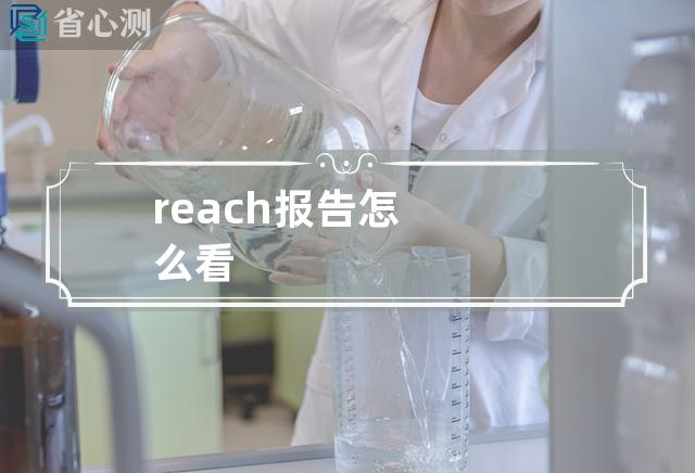 reach报告怎么看