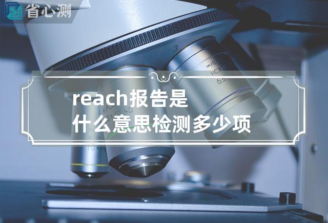 reach报告是什么意思检测多少项