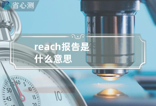 reach报告是什么意思