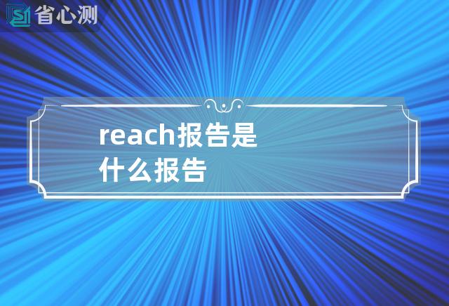 reach报告是什么报告