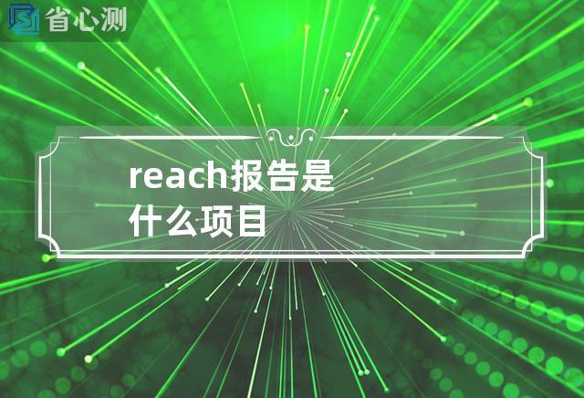 reach报告是什么项目