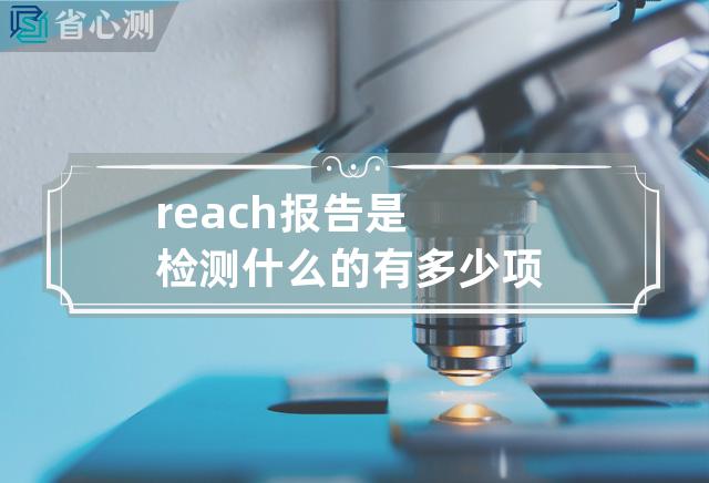 reach报告是检测什么的有多少项