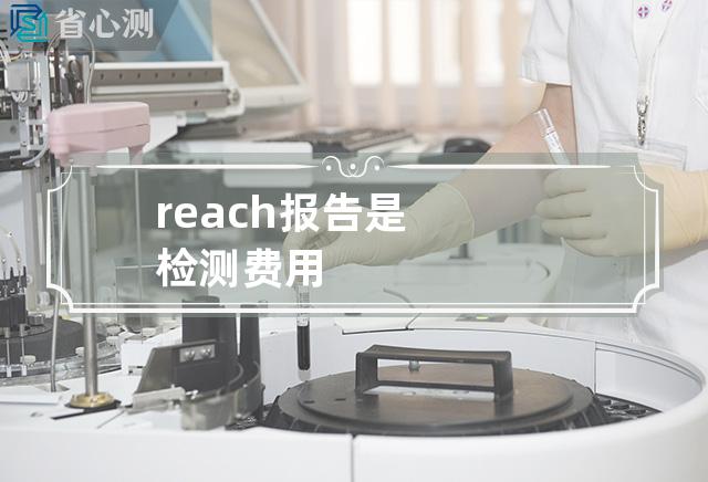 reach报告是检测费用