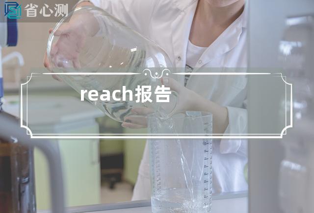 reach报告