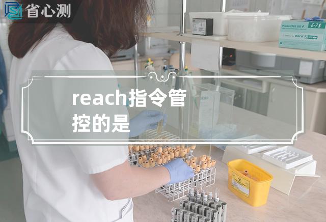 reach指令管控的是