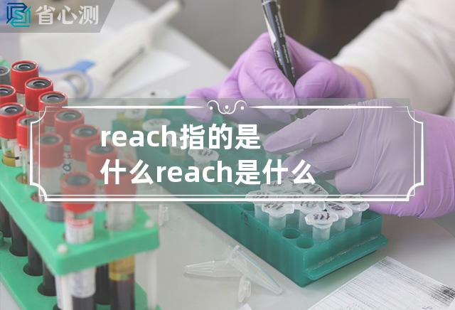 reach指的是什么 reach是什么意思