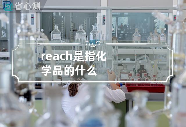 reach是指化学品的什么