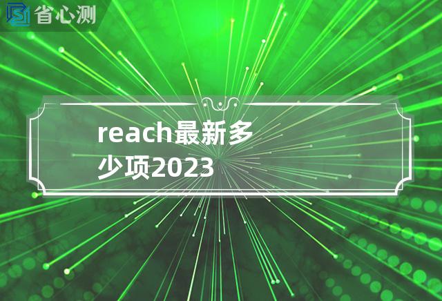 reach最新多少项2023