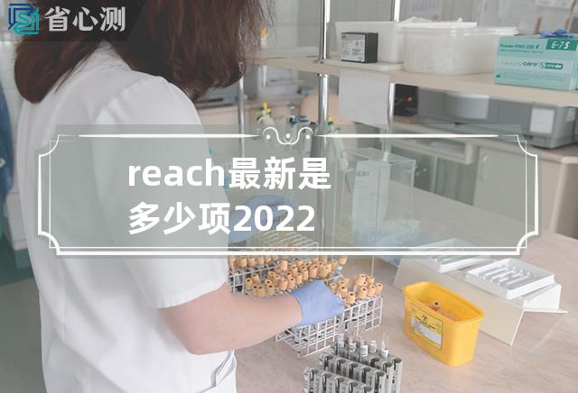 reach最新是多少项2022