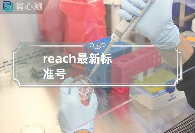 reach最新标准号