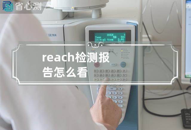 reach检测报告怎么看