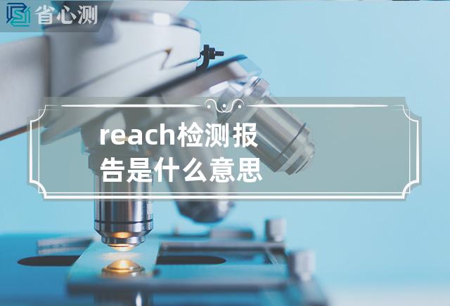 reach检测报告是什么意思