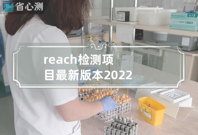 reach检测项目最新版本2022