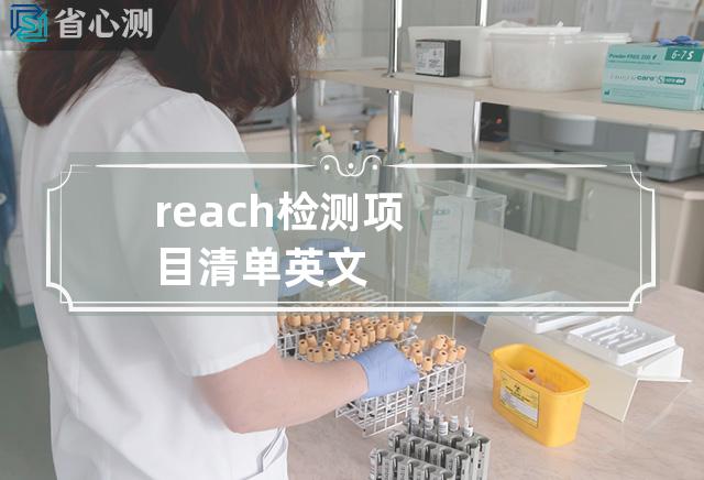 reach检测项目清单英文