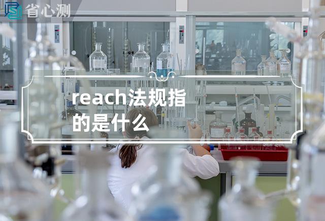 reach法规指的是什么